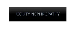 GOUTY NEPHROPATHY