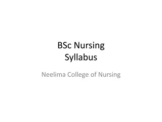 BSc Nursing Program Structure Overview