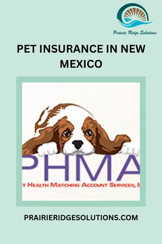 Comprehensive Pet Insurance in New Mexico Ensuring Your Furry Friend’s Well-Being