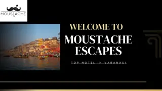Welcome to Moustache Escapes PDF