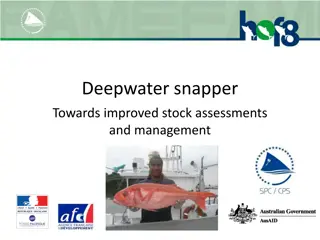 Deepwater snapper