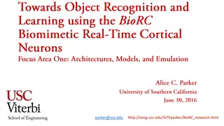 Analog Electronics in Neural Circuits Research
