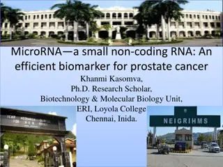 MicroRNA as a Prostate Cancer Biomarker
