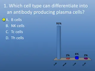 1. Which cell type can differentiate into  an antibody producing plasma cells?