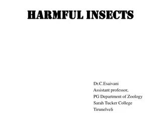Harmful Insects