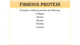 Fibrous protein