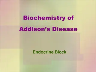 Addison's Disease: An Overview of Adrenal Gland Biochemistry