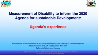 Measurement of Disability to inform the 2030  Agenda for sustainable Development: