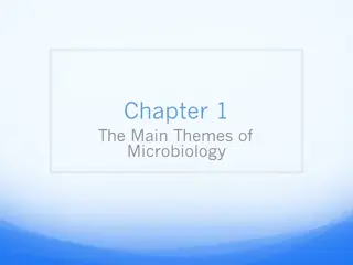 Main Themes of Microbiology: Scope, Groups, Branches, and Uses