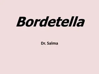 Bordetella Pertussis Infection