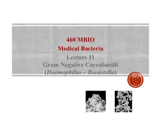 460 MBIO Medical Bacteria Lecture