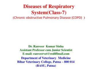 Diseases of Respiratory  System(Class-7)