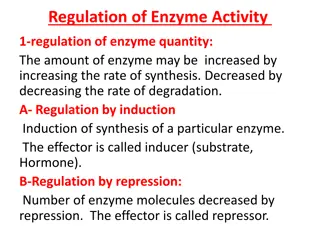 Regulation of Enzyme Activity
