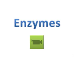 Enzymes: Biological Catalysts in Living Cells