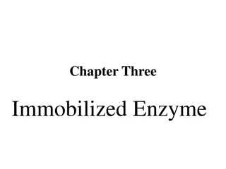 Immobilized Enzyme
