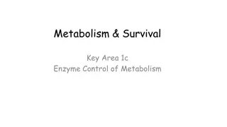 Metabolism & Survival