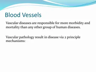 Blood Vessels