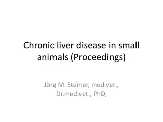 Chronic Liver Disease in Small Animals