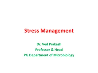 Different Types of Stress