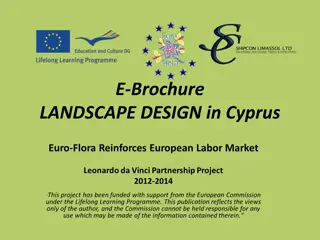 LANDSCAPE DESIGN in Cyprus
