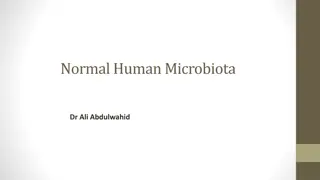 Normal Human Microbiota