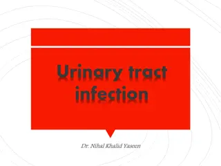 Urinary Tract Infections in Children: Prevalence, Manifestations, and Management