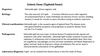 Enteric Fever (Typhoid Fever)