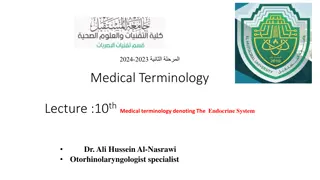 Medical Terminology: Exploring the Endocrine System