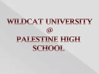 Wildcat University Dual Credit Program at Palestine High School