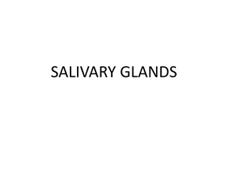 SALIVARY GLANDS