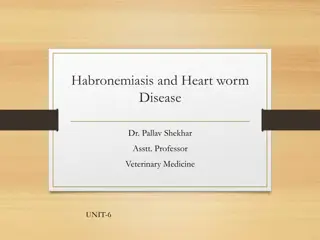 Habronemiasis and Heart worm Disease