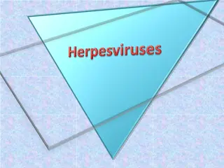 Epstein-Barr Virus (EBV) and its Implications
