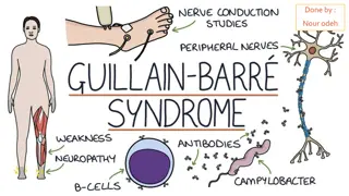 Guillain-Barré Syndrome: An Overview