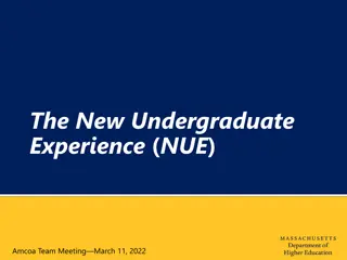 The New Undergraduate Experience