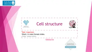 Cell structure