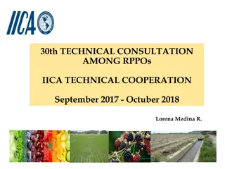 Technical Cooperation and Hemispheric Actions: Enhancing Institutional Strengths