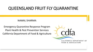 Fruit Fly Quarantine Measures