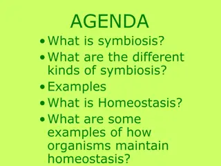 Symbiosis and Homeostasis: Understanding Organisms' Relationships