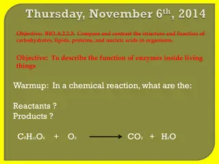 Comparing Biomolecules' Structure & Functions