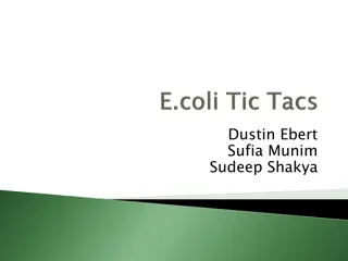 Collaborative Endeavors and Expertise in Various Fields