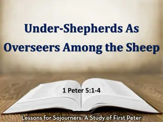 Under-Shepherds as Overseers Among the Sheep - Insights and Guidance
