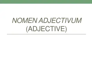 NOMEN ADJECTIVUM