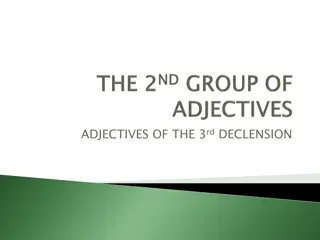 Adjectives of the 3rd Declension