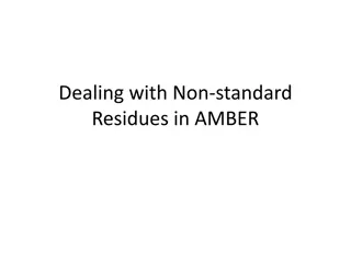 Dealing with Non-standard  Residues in AMBER