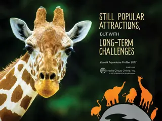 Affordable Travel Boosts Zoo and Aquarium Visits