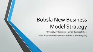 Bobsla New Business  Model Strategy