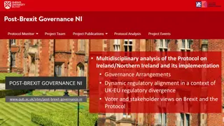 Analysis of the Protocol on Ireland/Northern Ireland Governance Dynamics