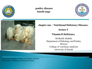 Nutritional Deficiency Diseases in Poultry: Vitamin B Deficiency and Symptoms