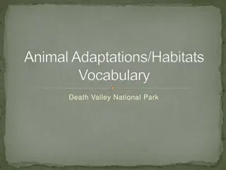 Animal Adaptations/Habitats Vocabulary
