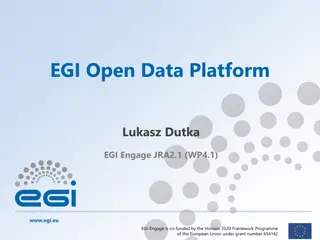 EGI Open Data Platform